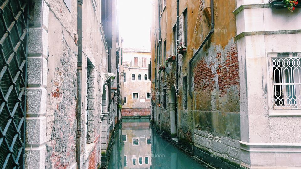 Venezia