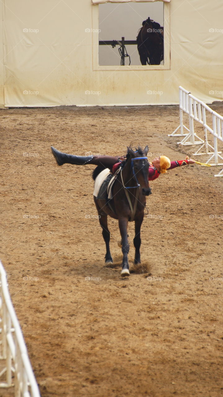 Equestrian performances 馬術表演