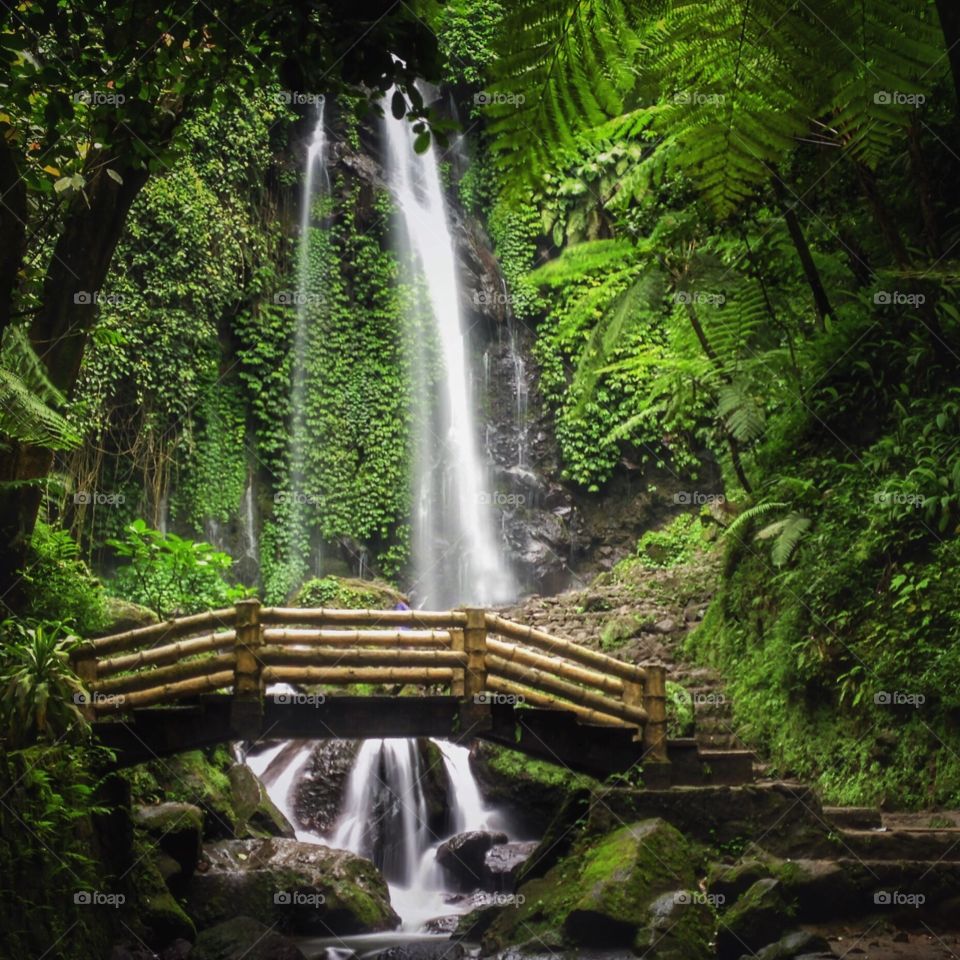 Scenic view of waterfall