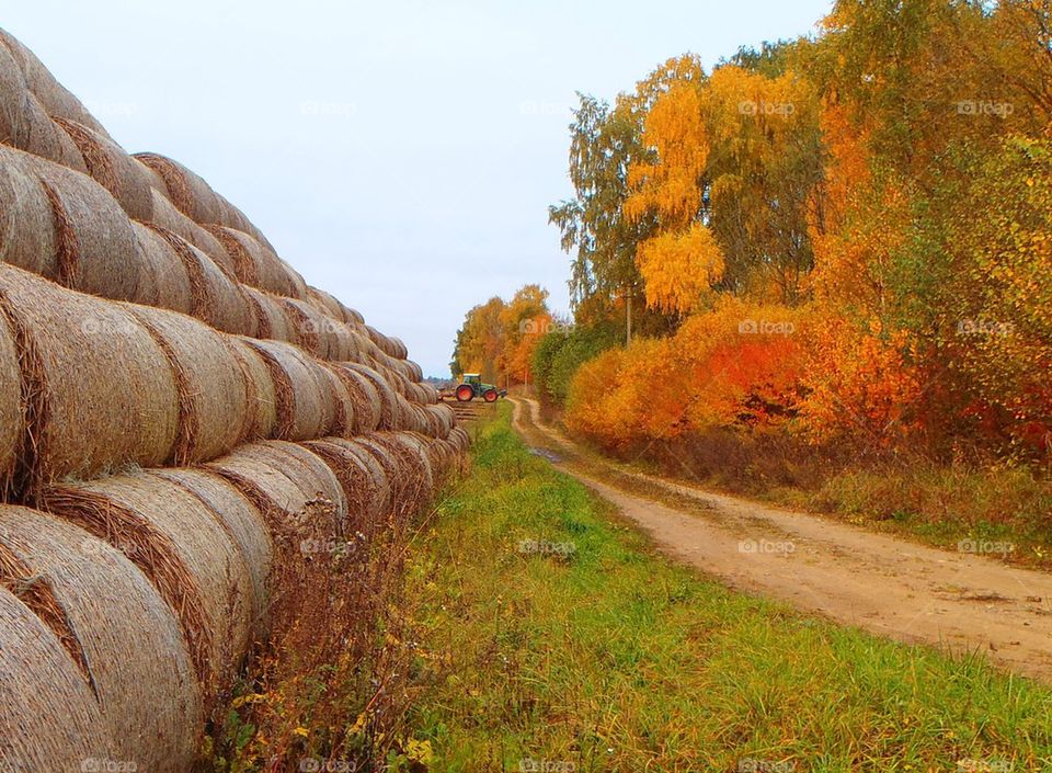 Tractor and bales