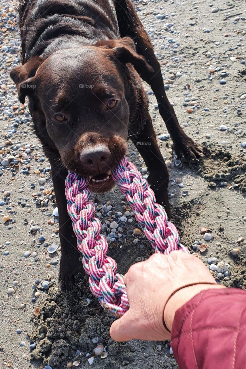 Playing on the beach