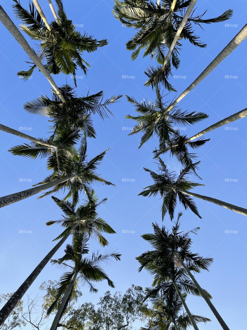 After Spring, Summer will be coming. 