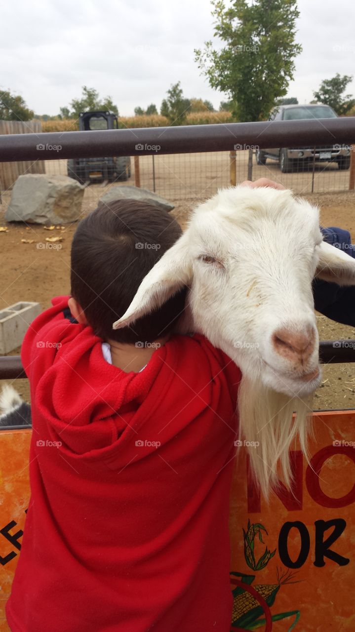a hug amongst friends. jack loved this particular goat so very very much!
