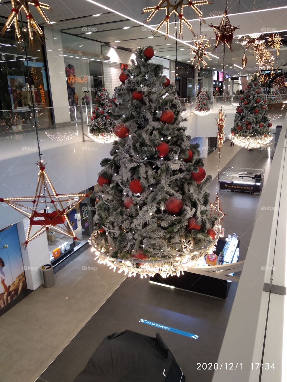 decoraciones con hileras de atboles