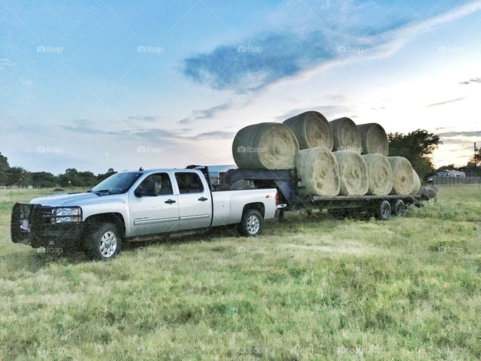 Truck and flatbed loaded with round bales. 