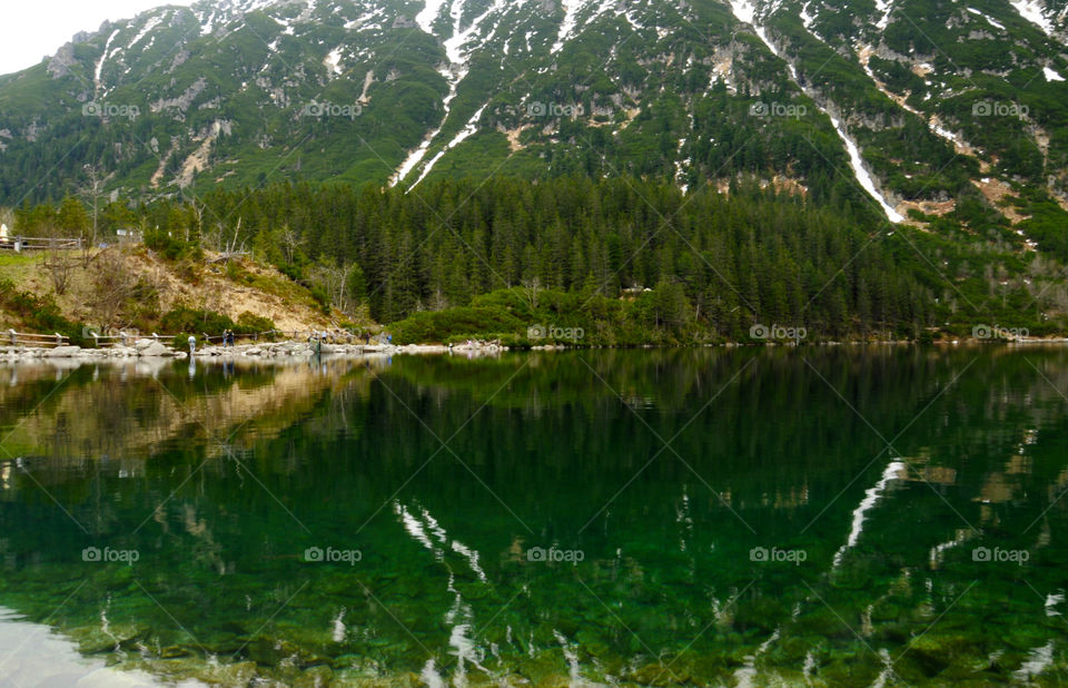 Reflections in the lake