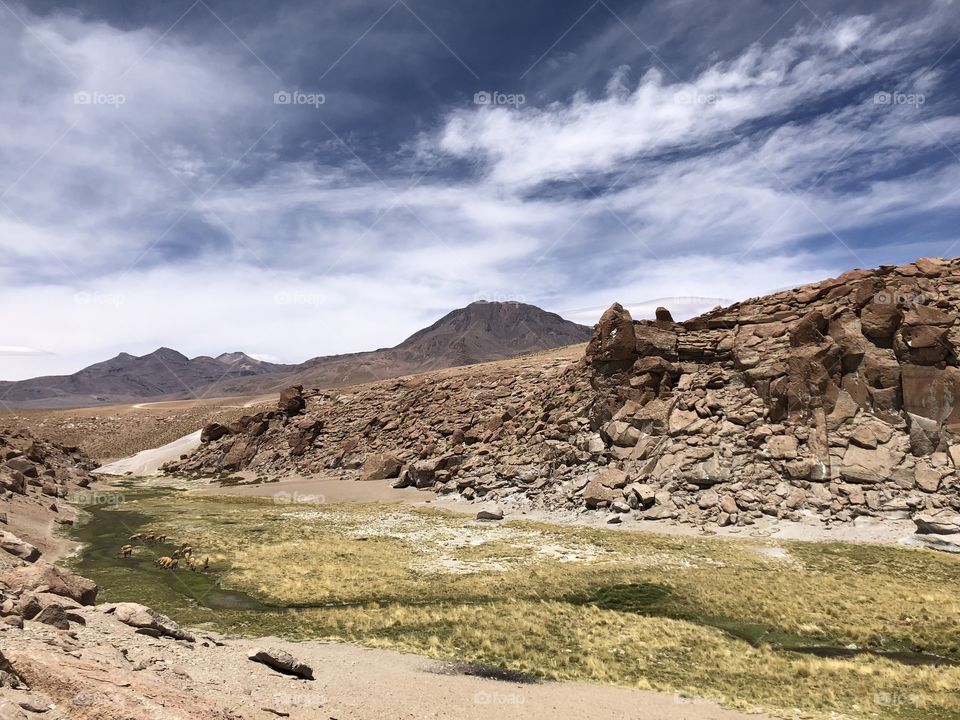 Atacama Desert Chile, El Tatio