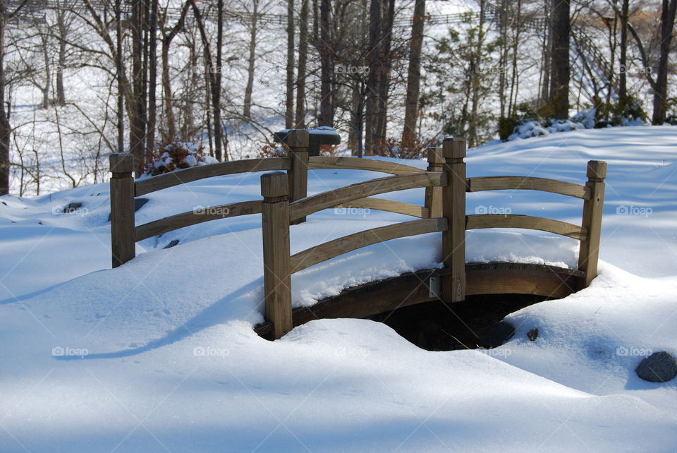 Bridge  in the snow