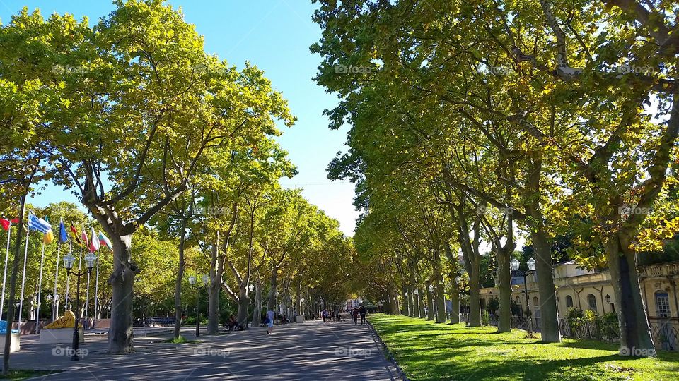 A park in Paris