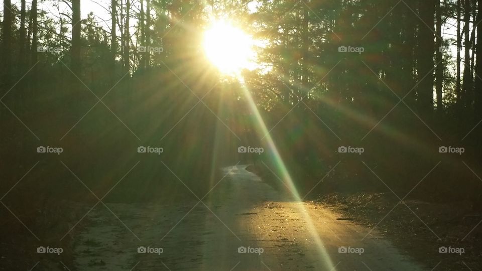 Sunshine on the road