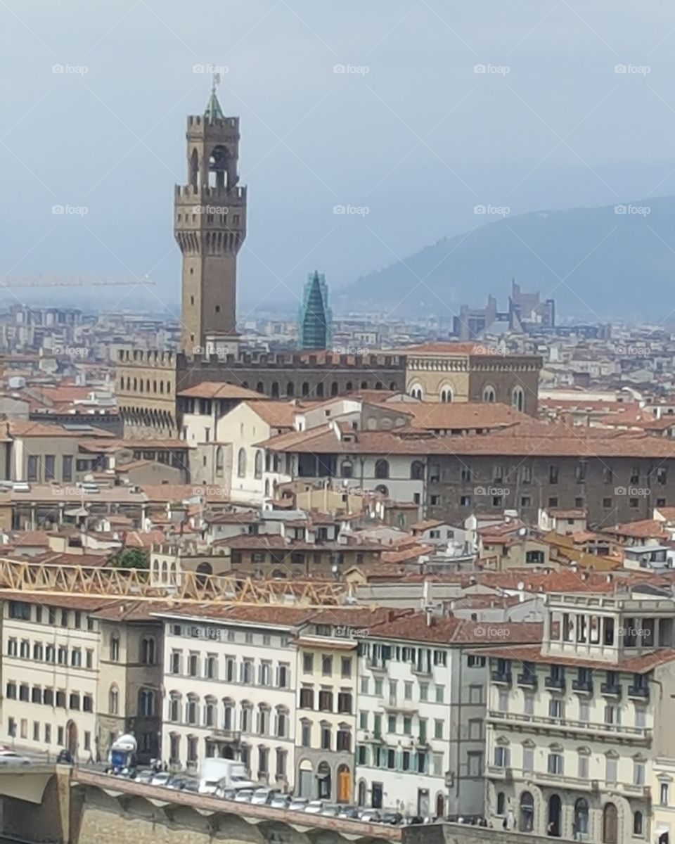 Taken from the Arno on my way to Piazzale Michaelangelo.