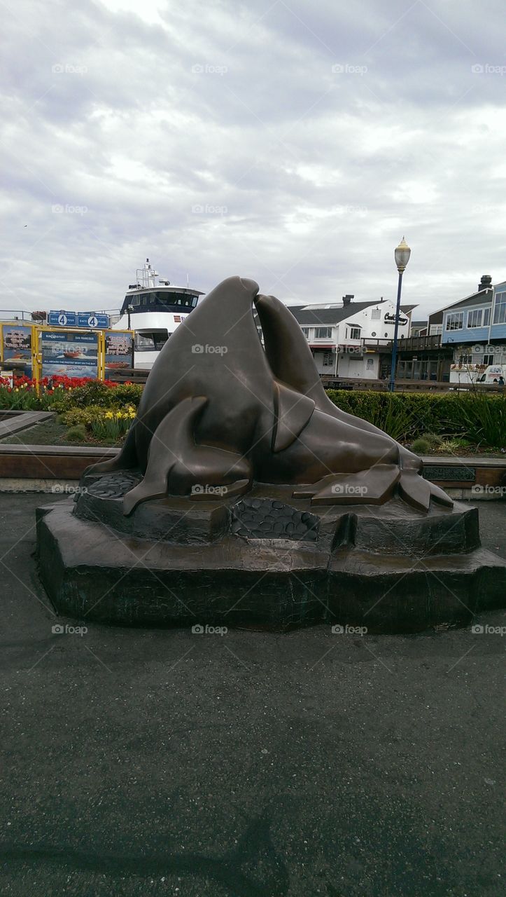 Seal Statue Pier 39