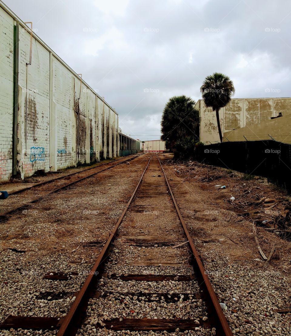 Florida Railroad Track