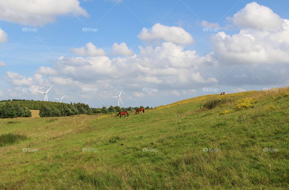 Skåne landscape.