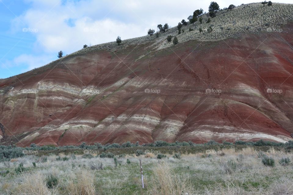 Painted hills 