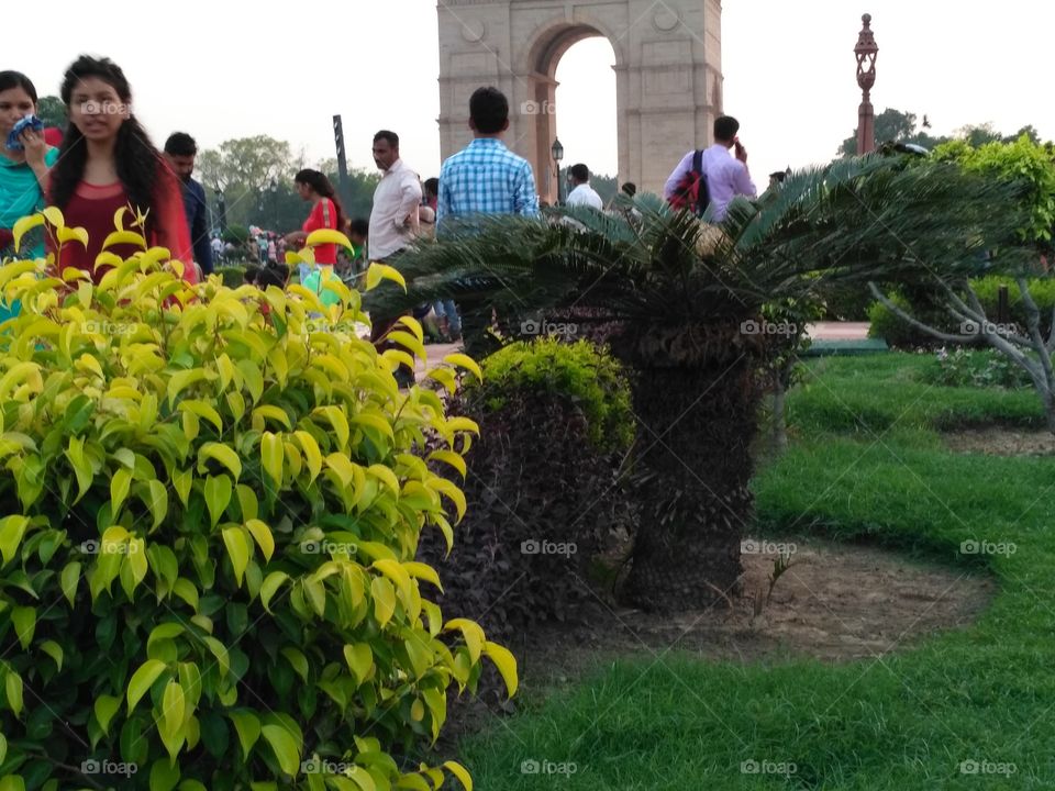 Garden India Gate