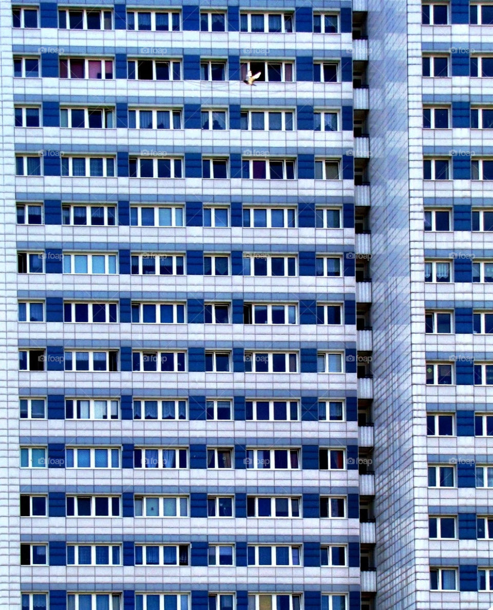 windows germany flat real by kersti