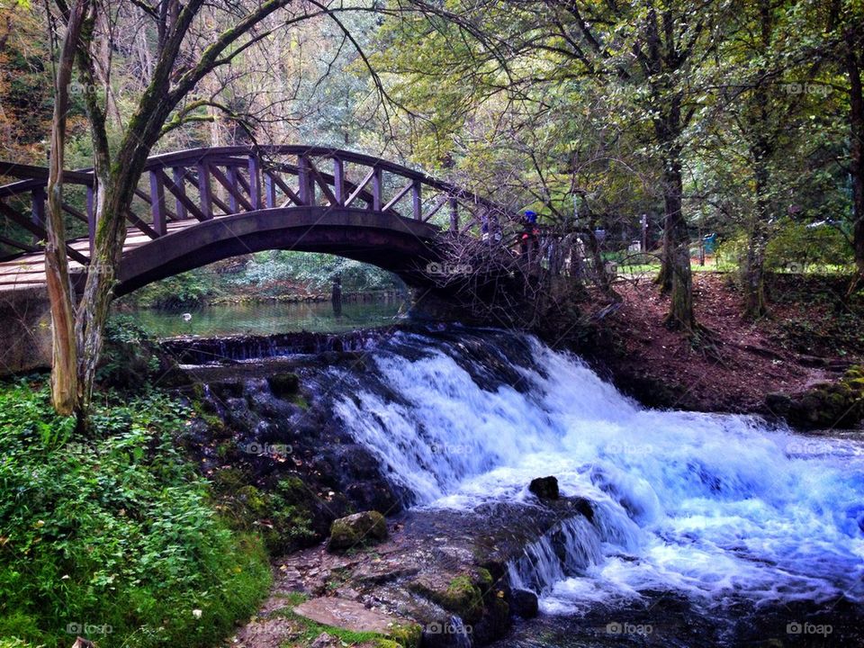 wooden bridge