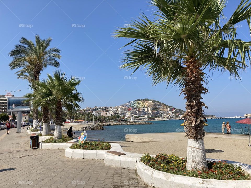 Sunny day stroll by the ocean. Palm trees and blue sky. Empty streets in the middle of the day 