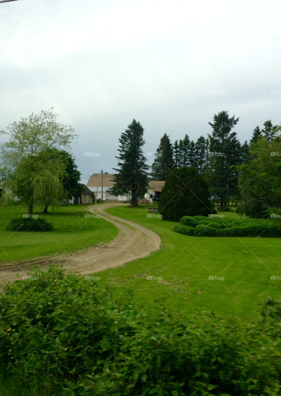 Green Color Story - front yard