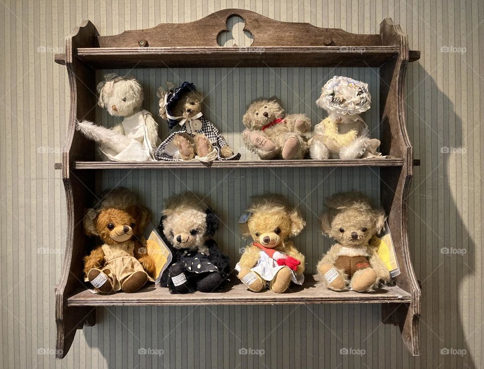 stuffed bear collection 