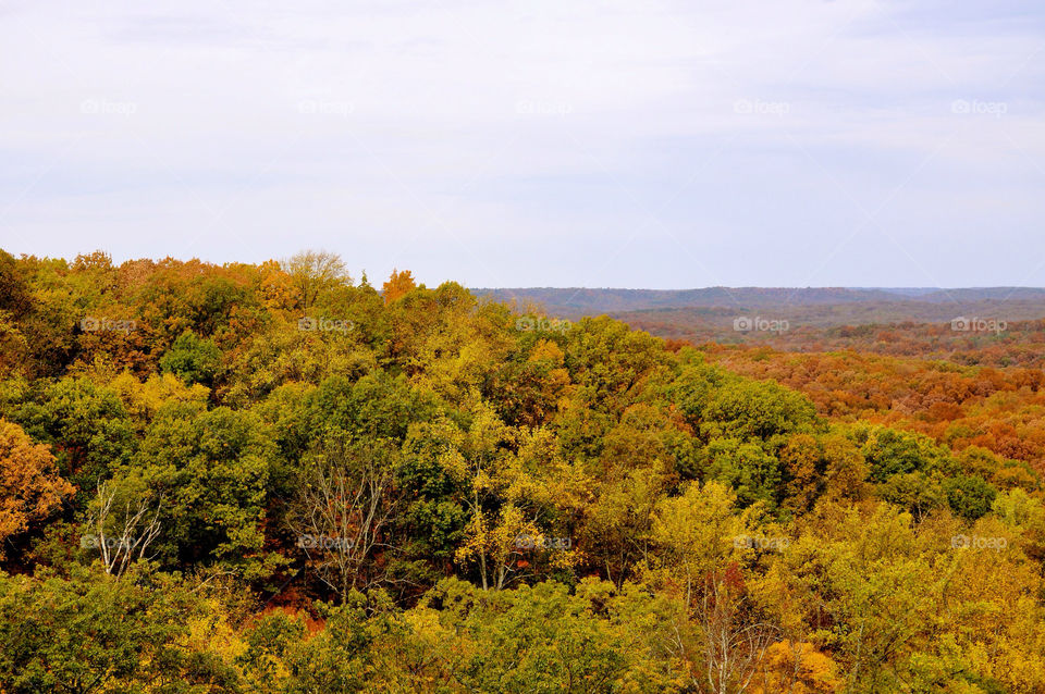 nature outdoors colors tree by refocusphoto