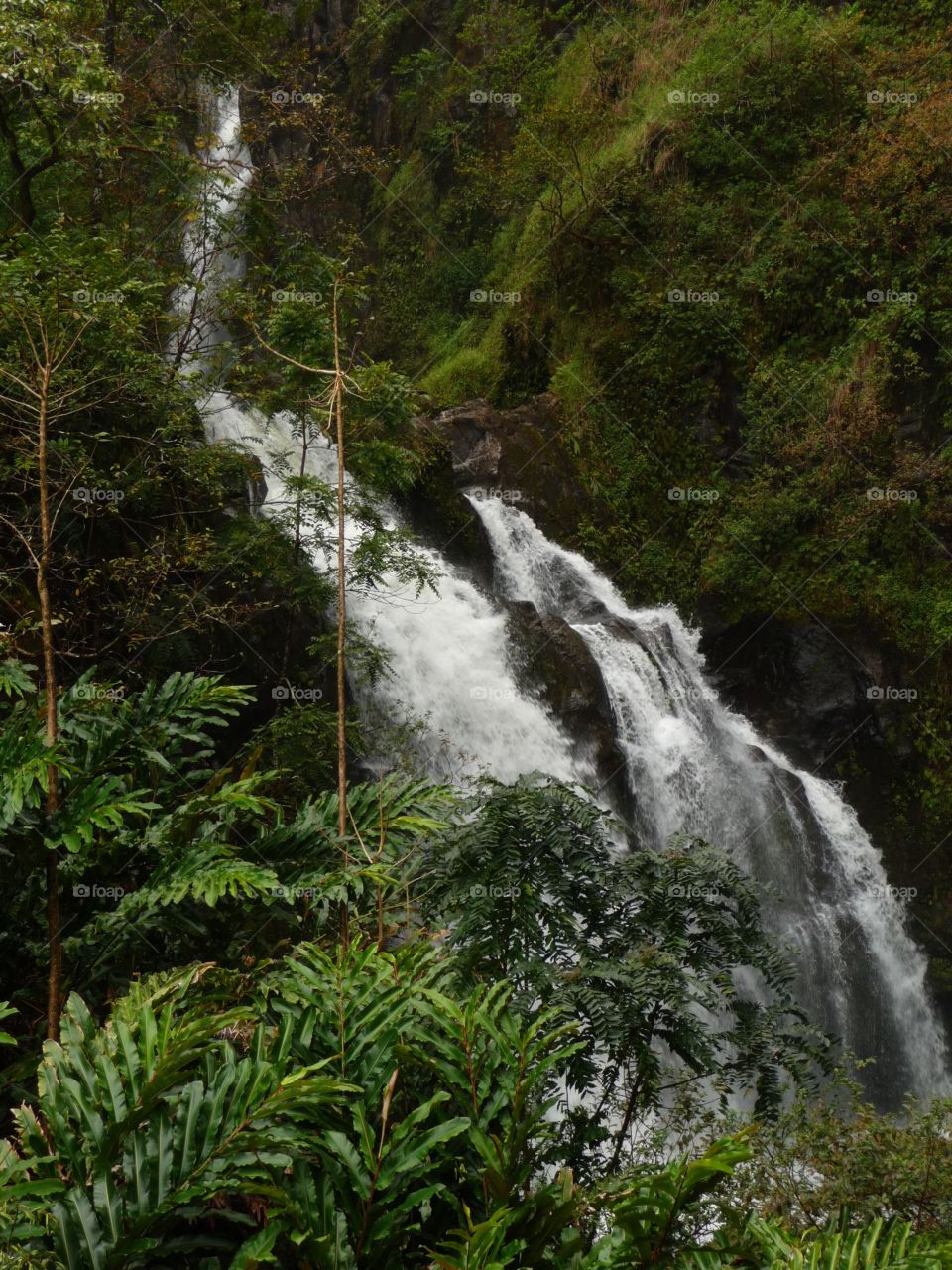 Maui, Hawaii 