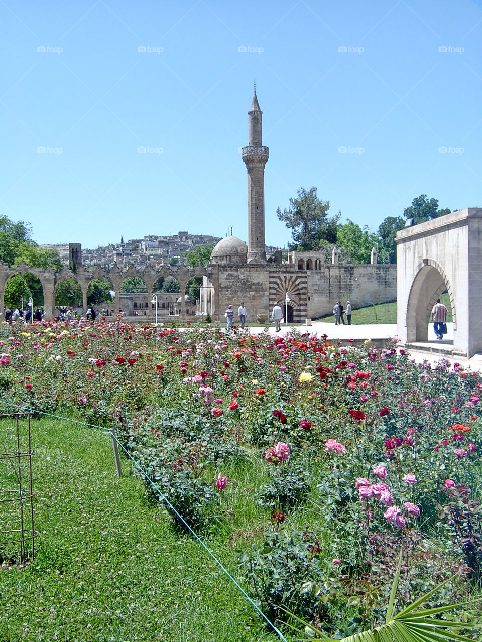 Prophet Abraham's Pool