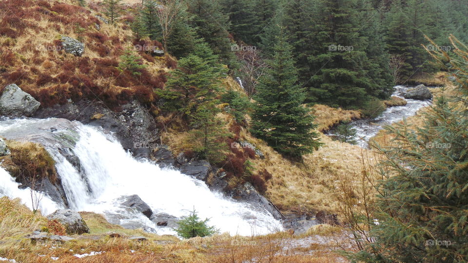 Scotland.  water fall