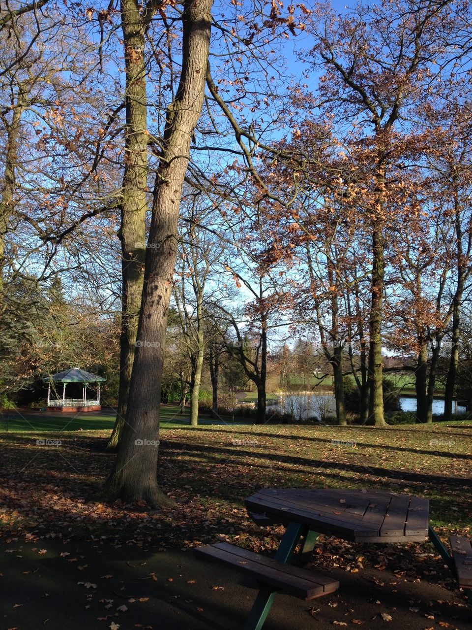 Picnic In The Park