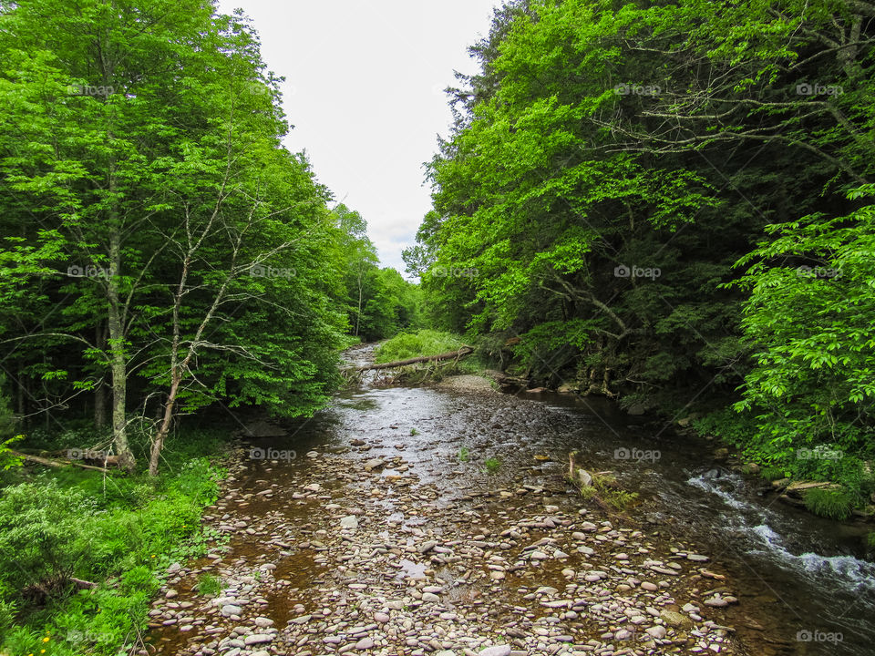 Arkville, New York, sun, sky, clouds, mountains, river, nature summer, top of the mountain , Landscape, view, panoramic view, forest, river, trees, woods, 