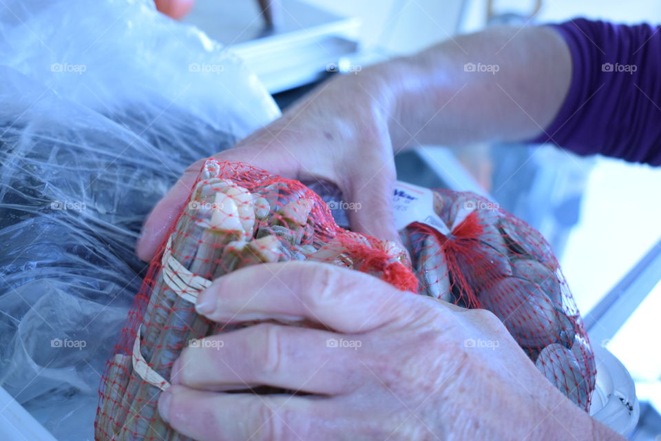 Hands of seafood.