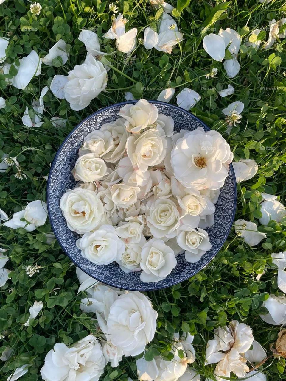 Lesson 1: join the first mission