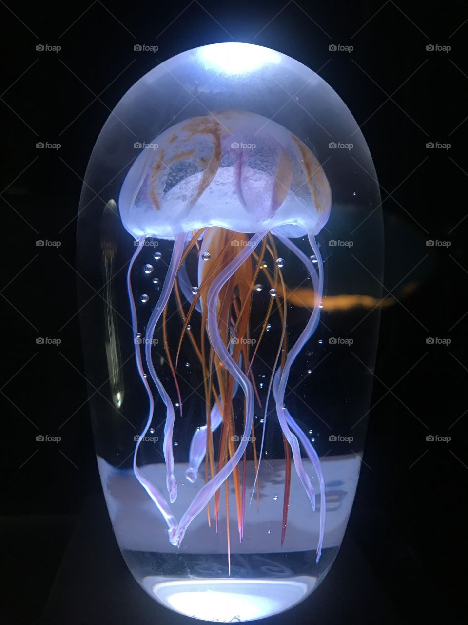 Jellyfish art