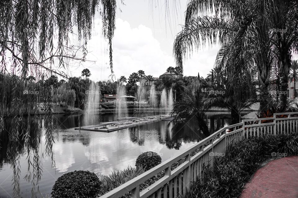 Holy Land Experience