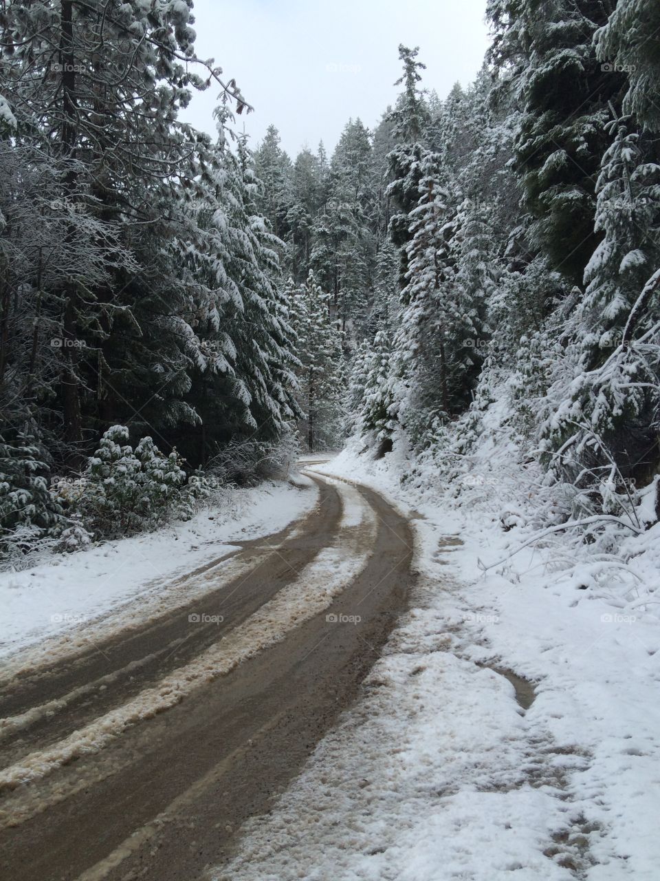 Snowy road 