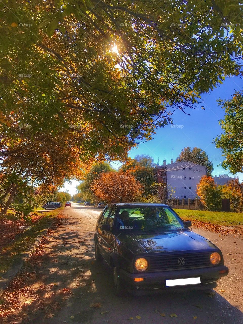This is a car in the autumn with some colorful trees.