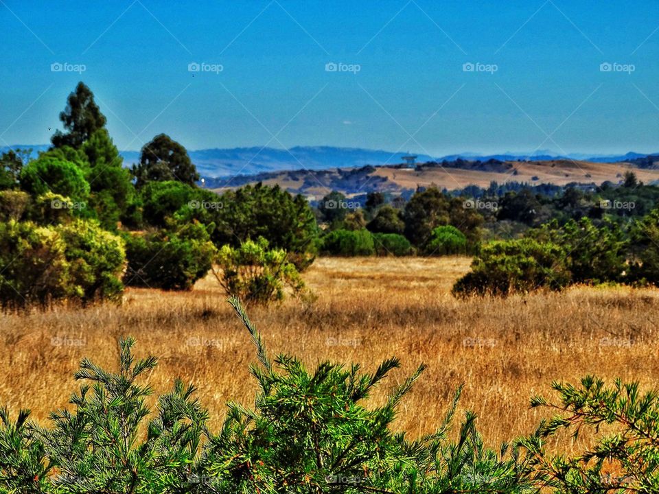 Silicon Valley landscape