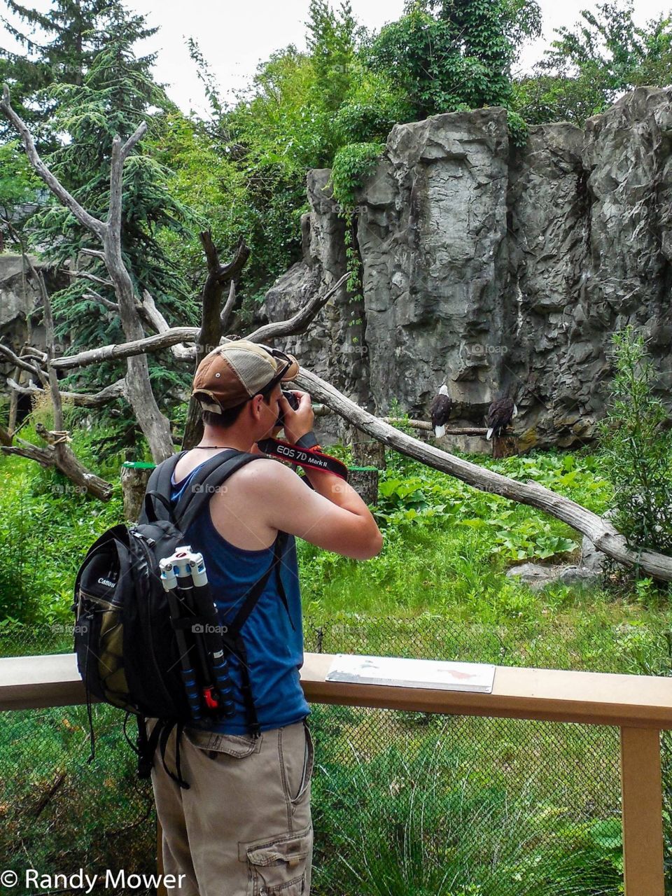Rodger Williams Park Zoo
Providence RI
