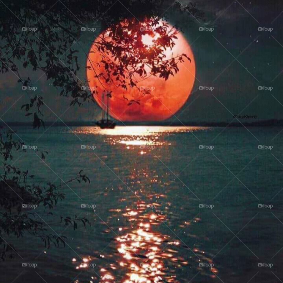 Exploring the beauty of nature with sun