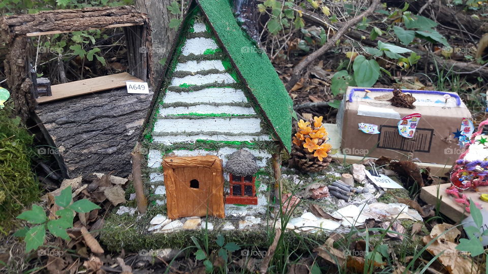 Fairy Homes