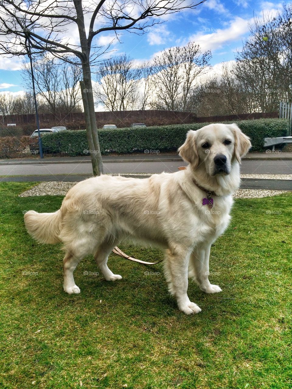 Zoe standing proudly 