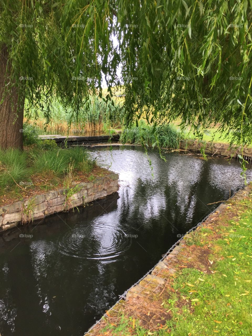 Elbauenpark - Magdeburg