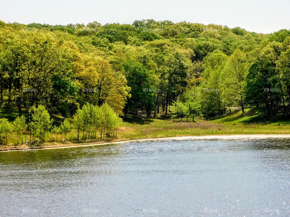 Peaceful Tranquility