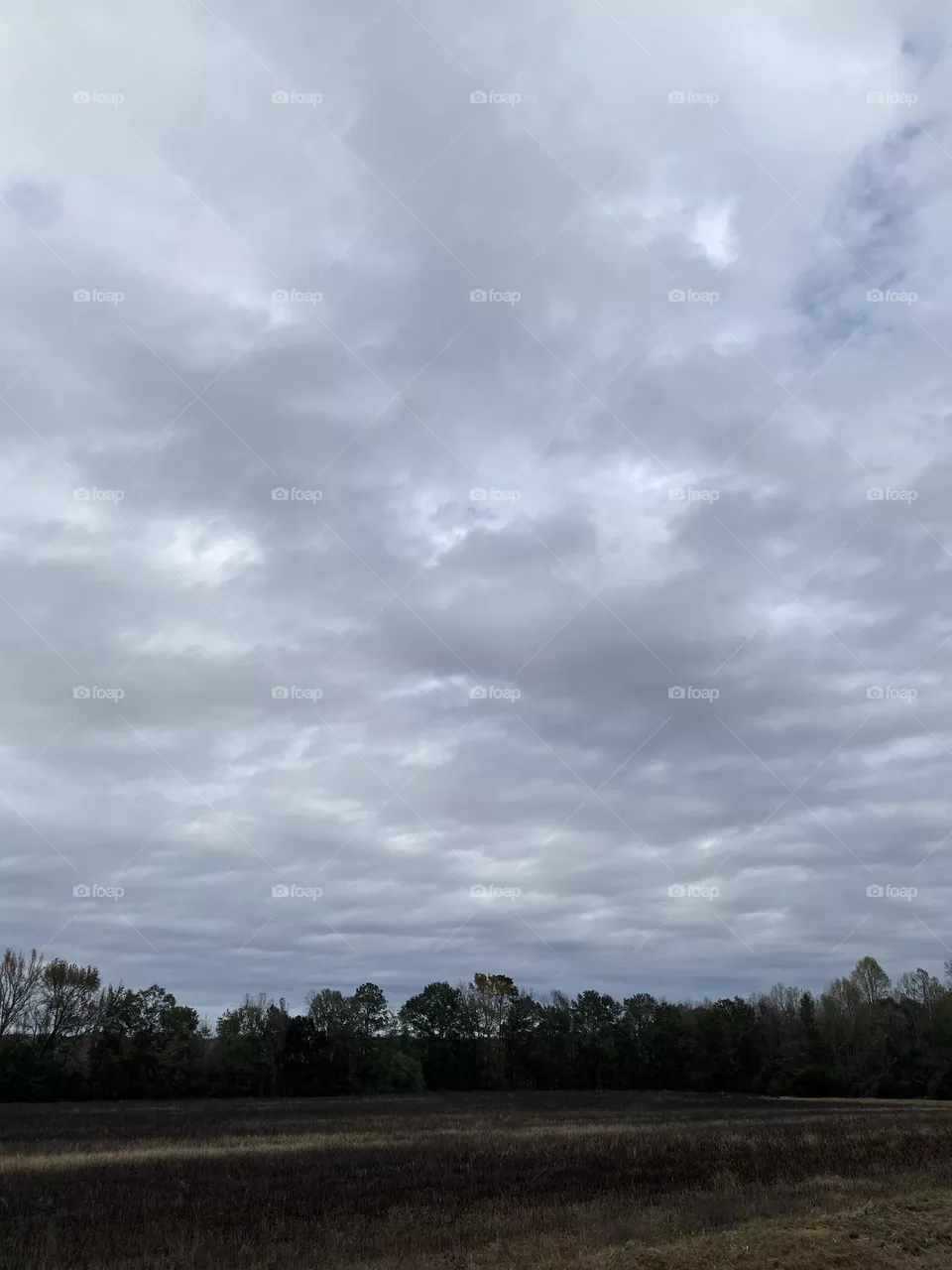 A lovely day to take a walk down this country road 