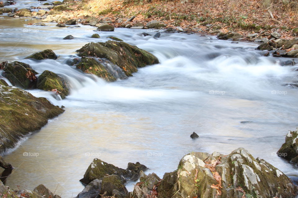 Great Smoky Mountains stream