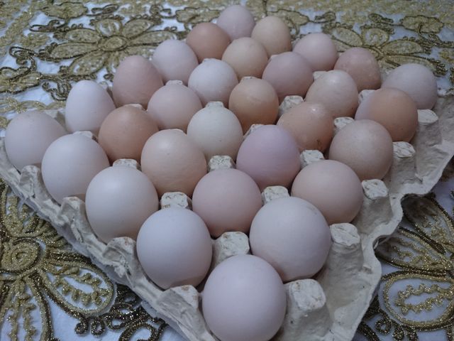 Eggs