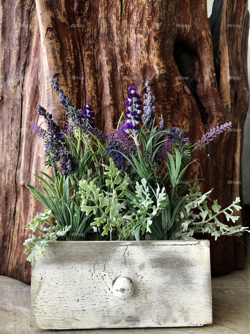 Decorar con plantas da luz, vida y buena energía 