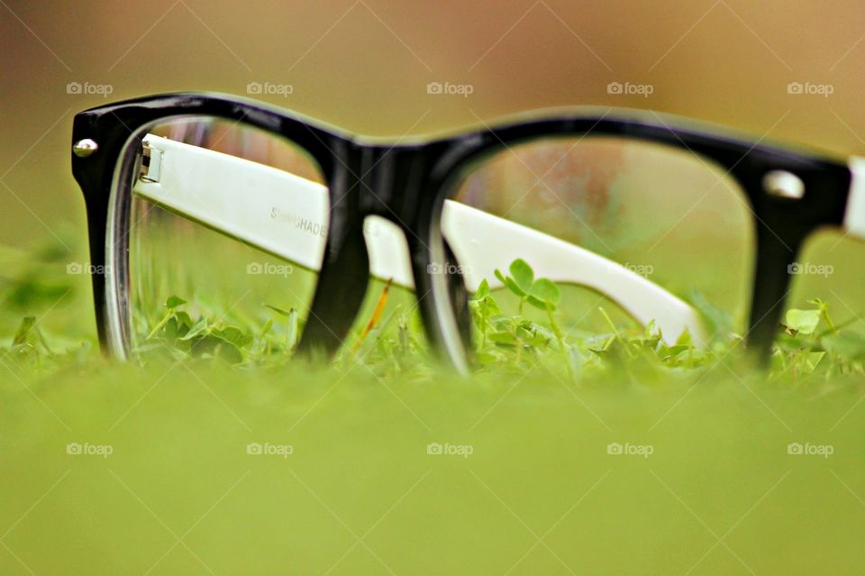 Glasses. Glasses in the grass.