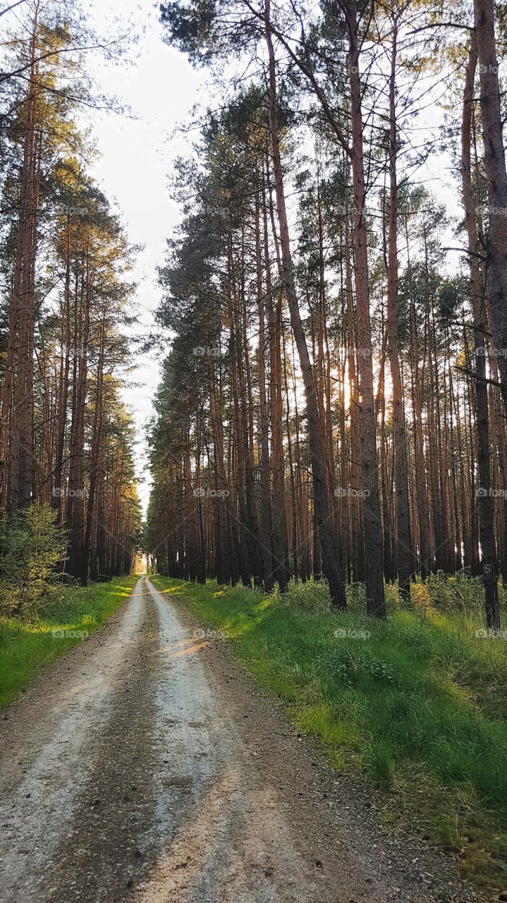 Leszno, Poland